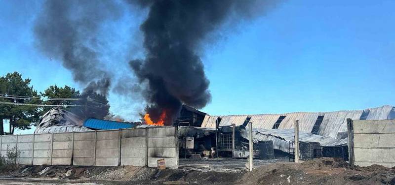 Tragedia en Coronel: Seis adultos y ocho niños mueren en incendio de  viviendas en toma – Publimetro Chile