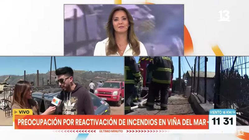 Kanela en Viña de Mar | Captura: Canal 13