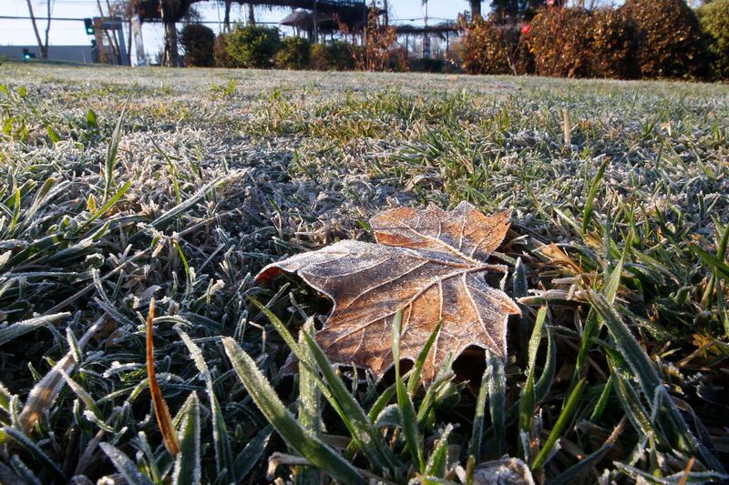 Bajas temperaturas en la RM.