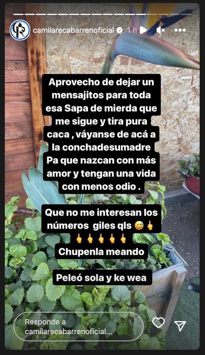 Historia de Camila Recabarren | Fuente: Instagram