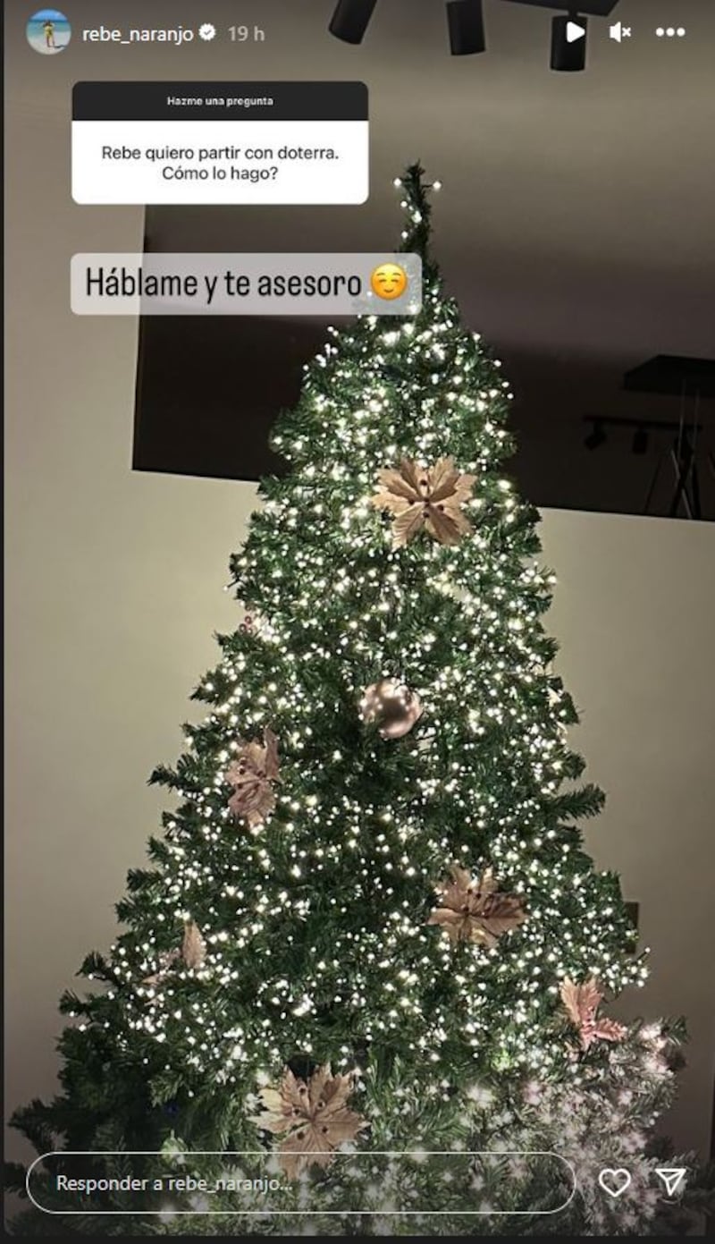 Al parecer, la joven Rebeca Naranjo es tan fanática de la Navidad como su suegra Raquel Argandoña. Así por lo menos quedó demostrado cuando junto a su pololo Nano Calderón mostraron su iluminado árbol de pascua con más de siete mil luces decorativas. 
La influencer compartió con sus seguidores de Instagram el paso a paso del armando, revelando que lo compró en Estación Central gracias a una amiga que le dio un datazo en el Barrio Meiggs. 
Respecto a los adorno, comentó que “tiene pajaritos, mariposas, pelotas, ramitas brillantes, son de hace dos años y las compré en el Sodimac”, consignó Página 7. 
Junto a ellos, les agregó flores a la decoración, las cuales compró a un valor de 500 pesos cada una.
Sin embargo, lo que más llamó la atención entre los cibernautas fue cuando reveló el número de luces que encendían su árbol navideño.
“Si no saco la cuenta mal, debe haber 7.500 luces. Cada juego es de 500″, indicó, dando cuenta que tenía un total de 15 juegos. 
“Son muchas, pero se conectan unas con otras. No es que haya 20 juegos conectados a la corriente (…) son USB, una va a la corriente y las demás se van conectando con otras con USB y así encienden”, indicó.
Incluso, no conforme con ello, reveló que de igual forma quiso aumentar la cantidad de luces para este año, porque el árbol es más grande, pero estaban agotadas. 
“Compré cinco (juegos) que sí están conectados a un alargador, que está en la mitad del árbol, pero por dentro y no se ve”, explicó en sus historias.