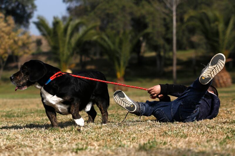 niño con mascota