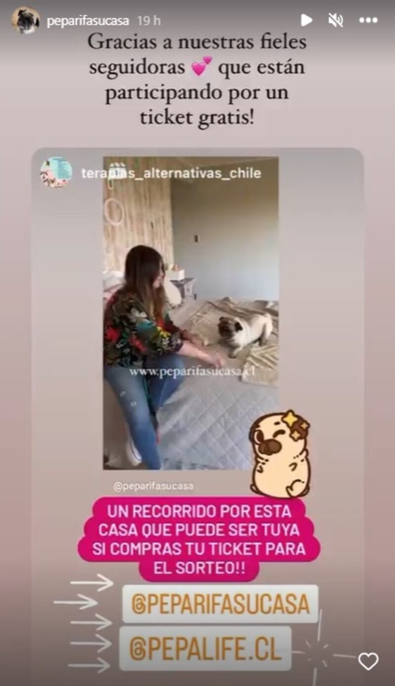 La mascota, de nombre "Pepa Pug", es la más reciente influencer que inició la rifa virtual para sortear una casa a quienes compren los tickets en Internet.