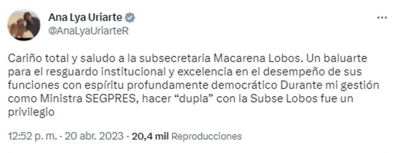 La exministra de la Segpres regresó con todo a Twitter luego de su renuncia al ministerio.