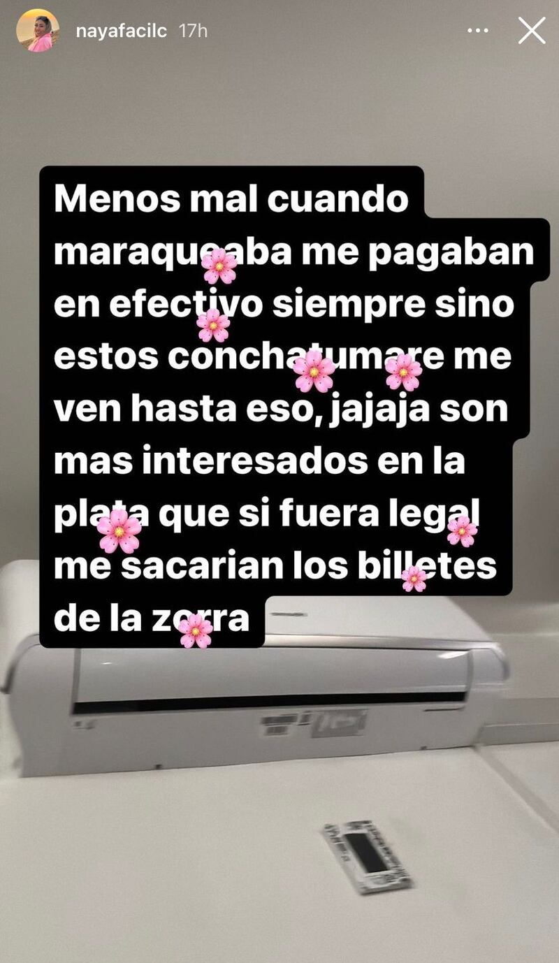 Menos mal cuando ma.... me pagaban en efectivo”: Naya Fácil realiza fuerte  descargo tras problemas con el SII – Publimetro Chile