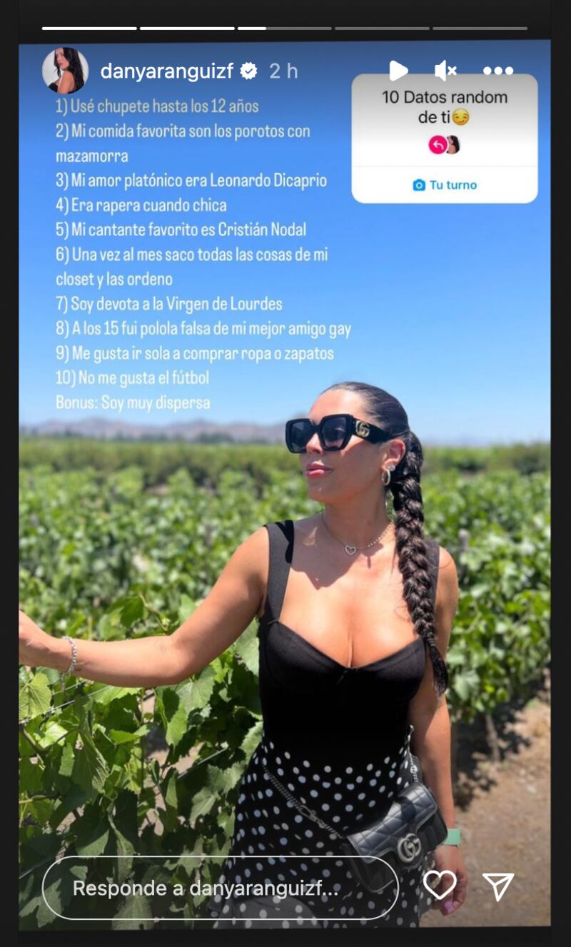 Historia de Daniela Aránguiz | Fuente: Instagram