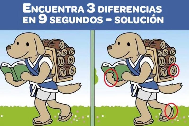 Estas son las diferencias.