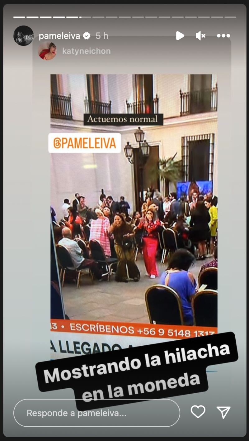 Historias de Pamela Leiva | Fuente: Instagram