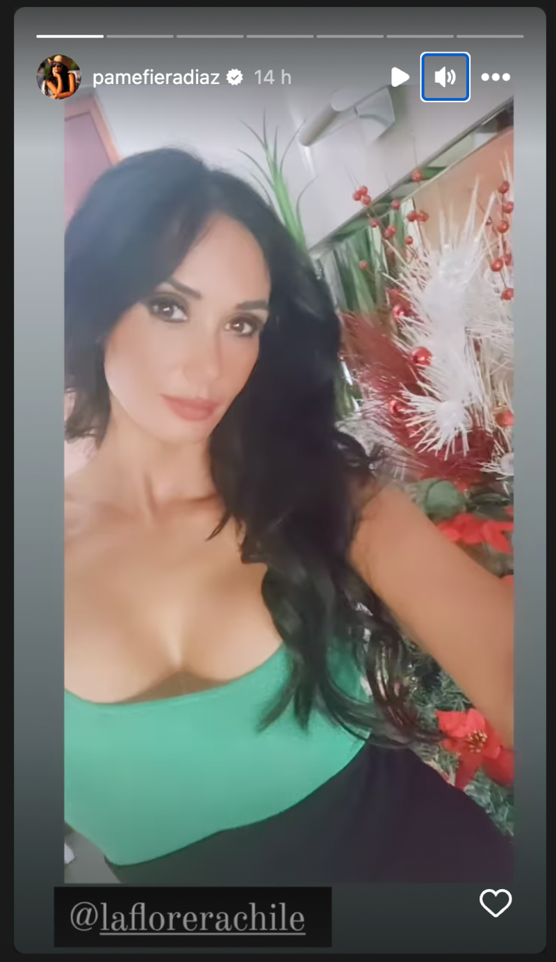 Pamela Díaz Historias - Fuente: Instagram