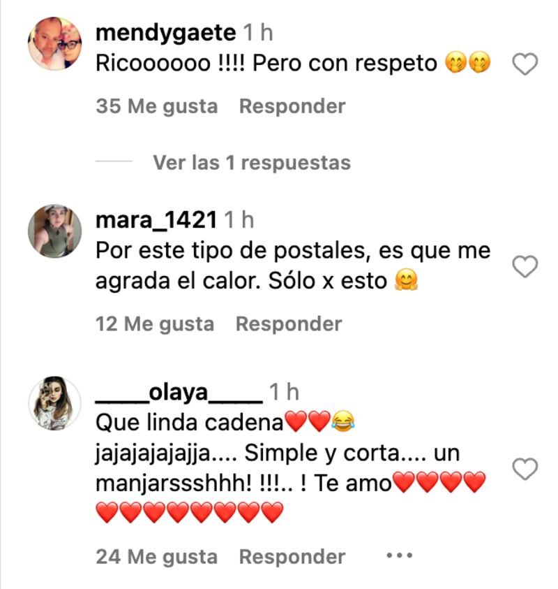 Comentarios en foto de José Luis Repenning | Captura: Instagram