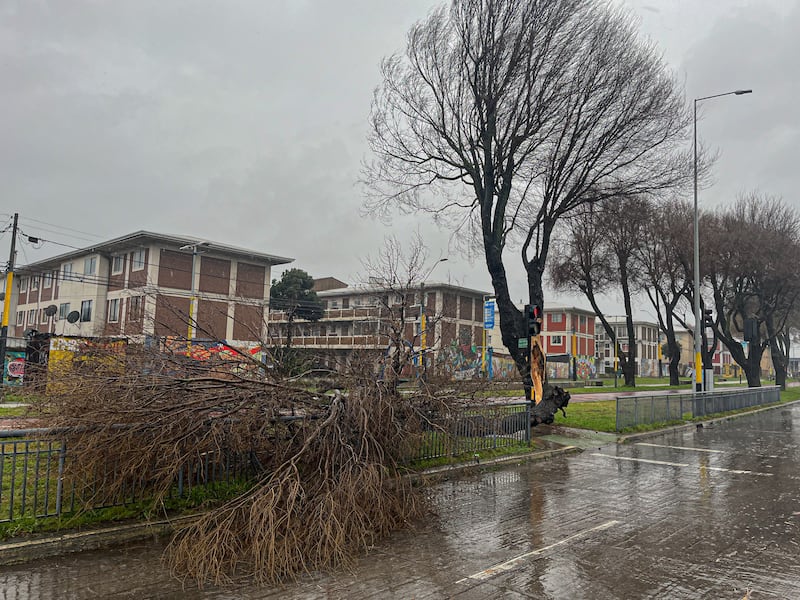 Sistema frontal región del Biobío