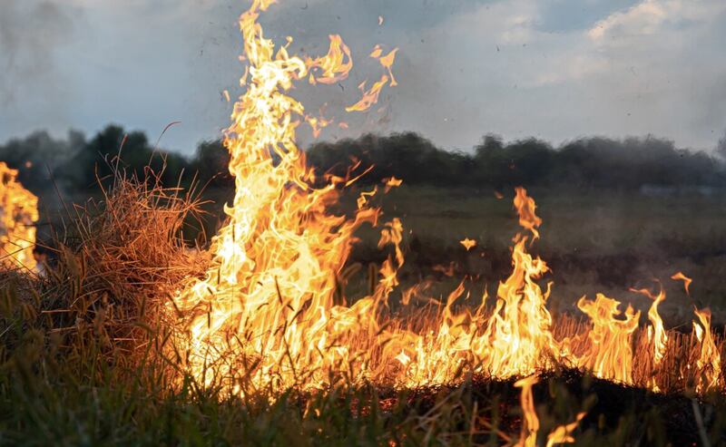 Fuego en la estepa, la hierba arde destruyendo todo a su paso.