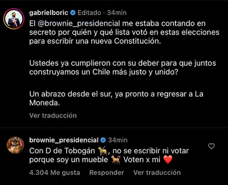 Brownie perro presidencial