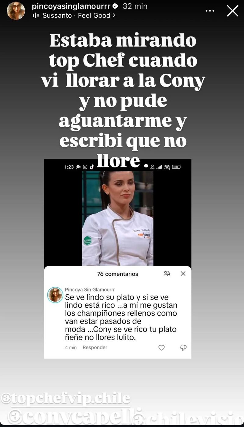 Historia de Pincoya | Instagram