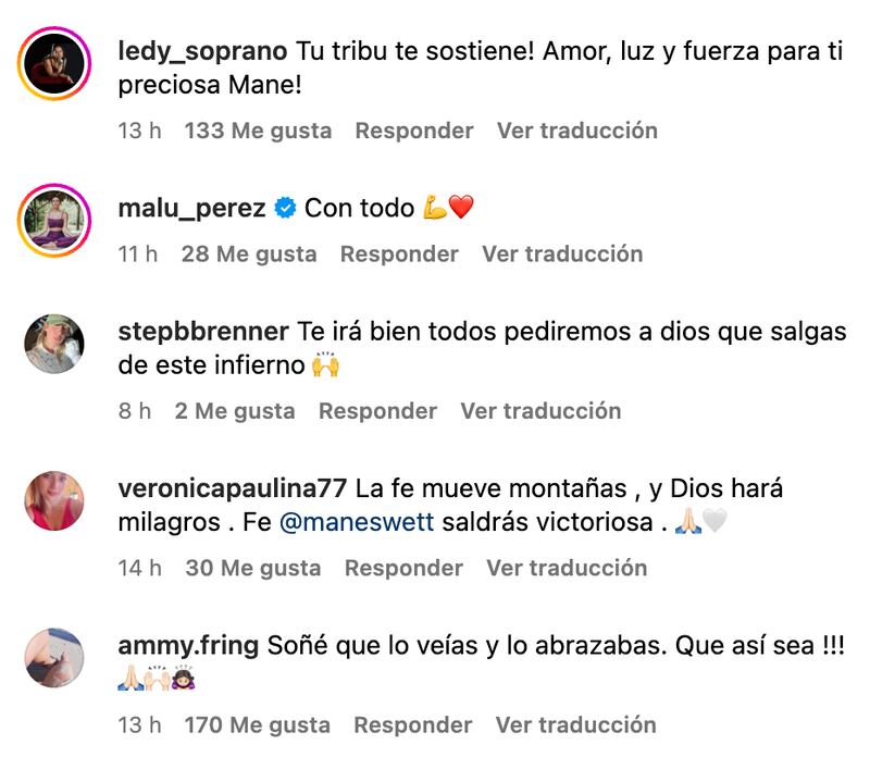 Comentarios de apoyo a María Elena Swett | Captura: Instagram