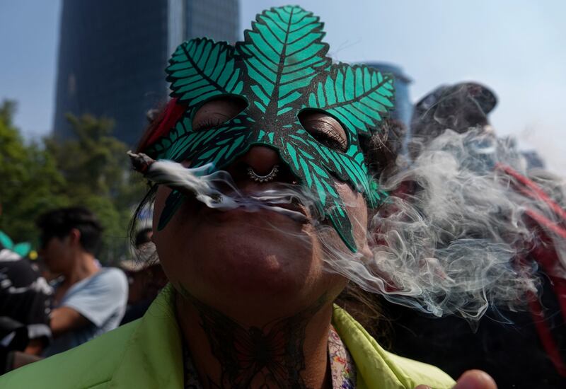 Alista séptima edición del Expoweed en México.