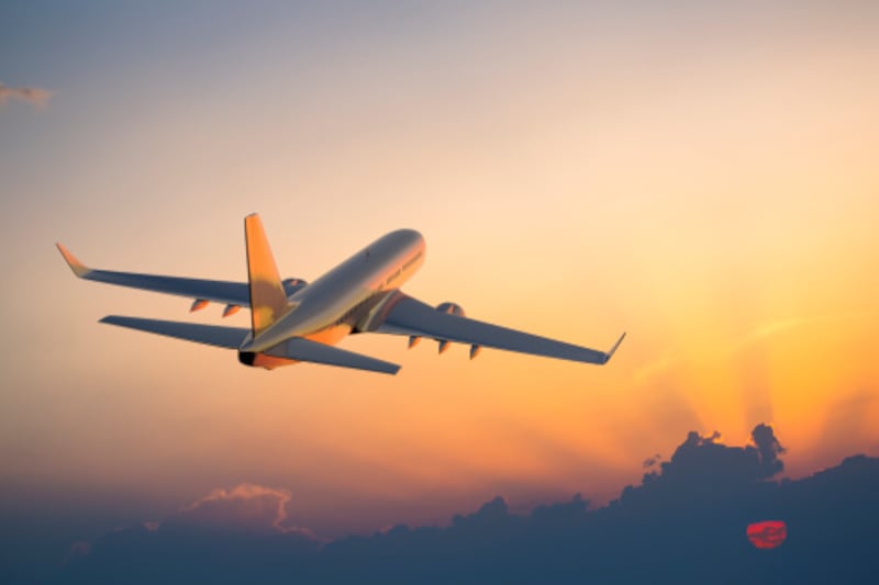 Los campeones de patinaje que iban a bordo del avión de American Airlines