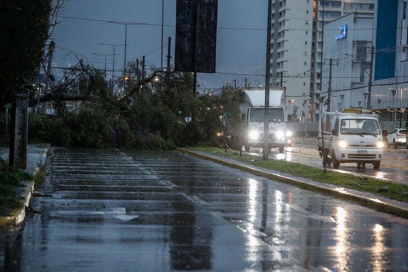 Caída de árboles en la Región Metropolitana