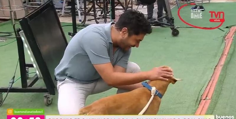 Gino costa y su nuevo perro, Domeyko | Captura