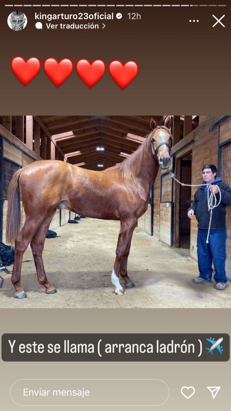 Caballo de Arturo Vidal