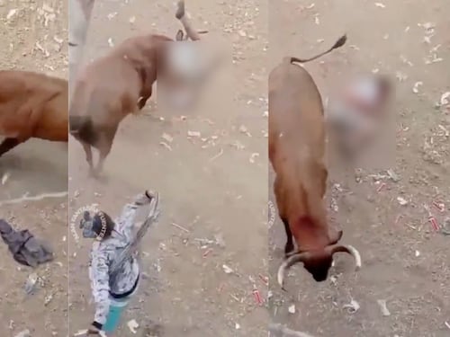 Hombre sufre grave accidente durante corrida de toros