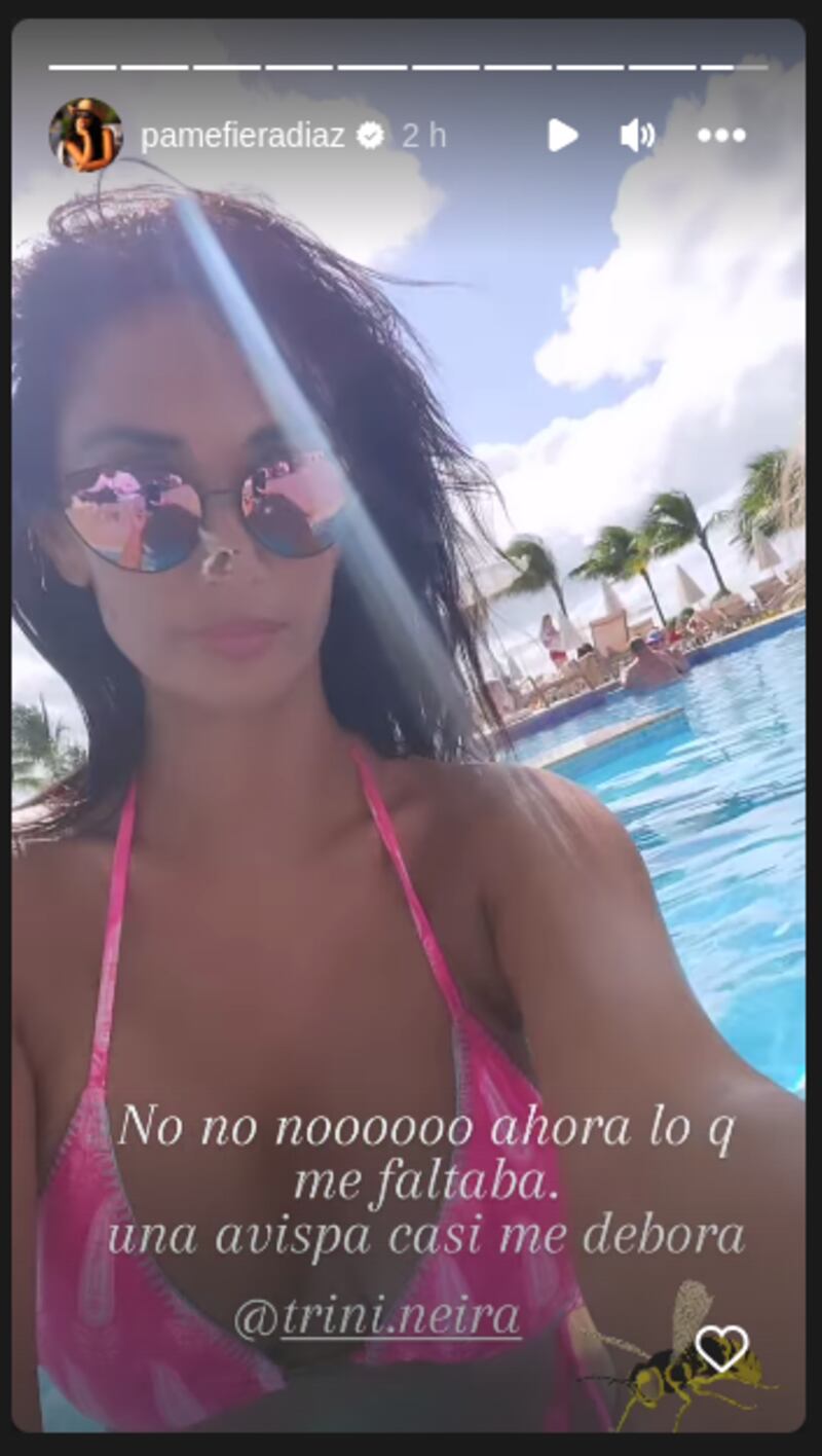 Pamela Díaz historias - Fuente: Instagram