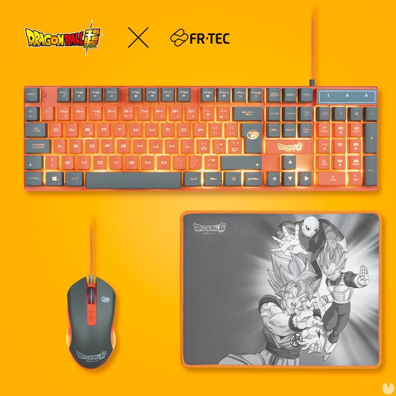 FR-TEC x Dragon Ball