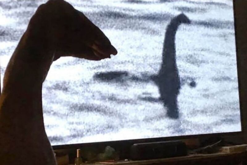 La supuesta verdad sobre Nessie