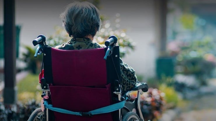 El Programa de Pago de Cuidadores de Personas con Discapacidad es un bono entregado por el IPS para gente que tiene bajo su cuidado a discapacitados.