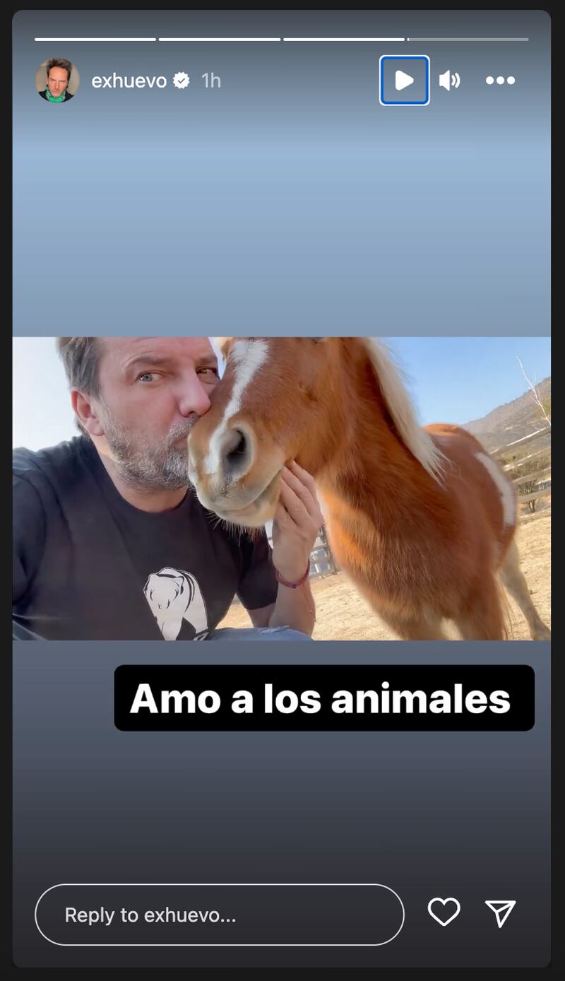 Historias de Daniel Fuenzalida | Fuente: Instagram