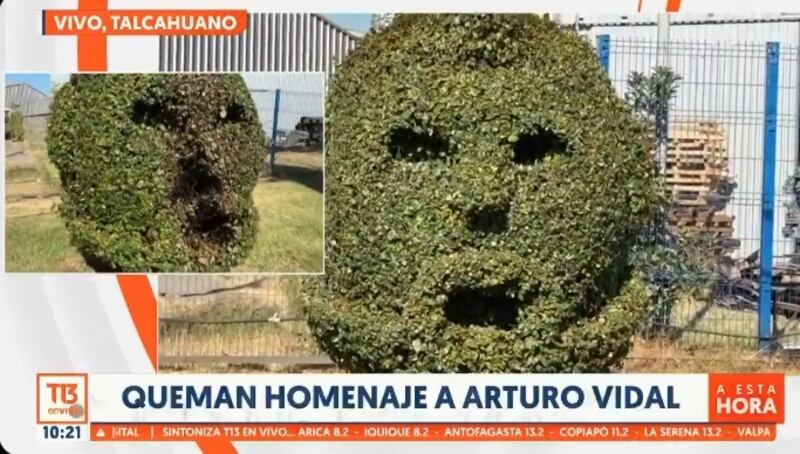 Aún se desconoce al o los autores del ataque al arbusto en homenaje al jugador de Colo Colo.