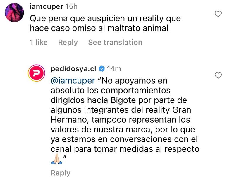 Los reclamos generados por los maltratos a la mascota de Gran Hermano, “Bigote”, llegó hasta las marcas auspiciadoras. Así lo hizo saber una usuaria quien criticó a la empresa de delivery Pedidos Ya, por ser parte del programa de CHV, donde los participantes Lucas y Bambino, fueron cuestionados, pero no sancionados por sus acciones contra el cuatro patas. 
“Que pena que auspicien un reality que hace caso omiso al maltrato animal”, escribieron desde la cuenta @iamcuper.
Esto, debido que desde la producción de Gran Hermano solo hicieron un fuerte llamado de atención a los integrantes, pero no dijeron con nombre y apellido quiénes eran los principales responsables de las bromas de mal gusto ni agarrarle el hocico al canino. Además, tampoco recibieron ninguna amonestación, como sí lo hicieron con Francisco cuando votó a Estefanía a la piscina y dañó un micrófono por el agua.