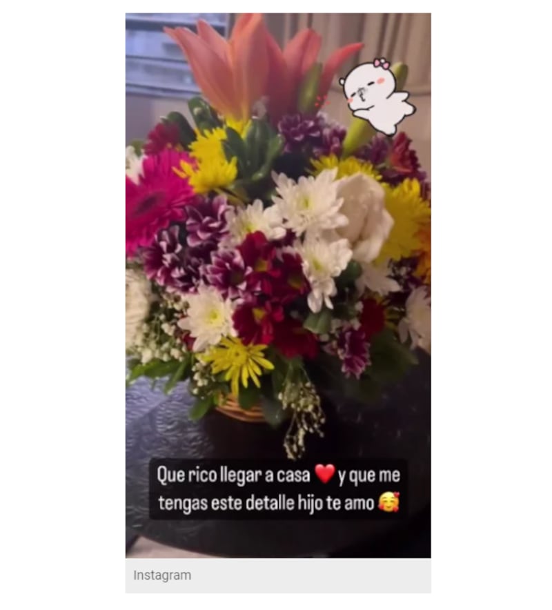 Se trató de un hermoso arreglo floral, el cual Nano Calderón le dejó en su hogar, para que lo viera en su regreso del trabajo.

“Qué rico llegar a casa y que me tengas este detalle. Hijo, te amo”, escribió Raquel.

En el registro se puede ver que el estudiante de Derecho optó por un ramo bastante colorido, el que mezcló flores de tonalidades vibrantes, como rosadas, lilas, amarillas y moradas.