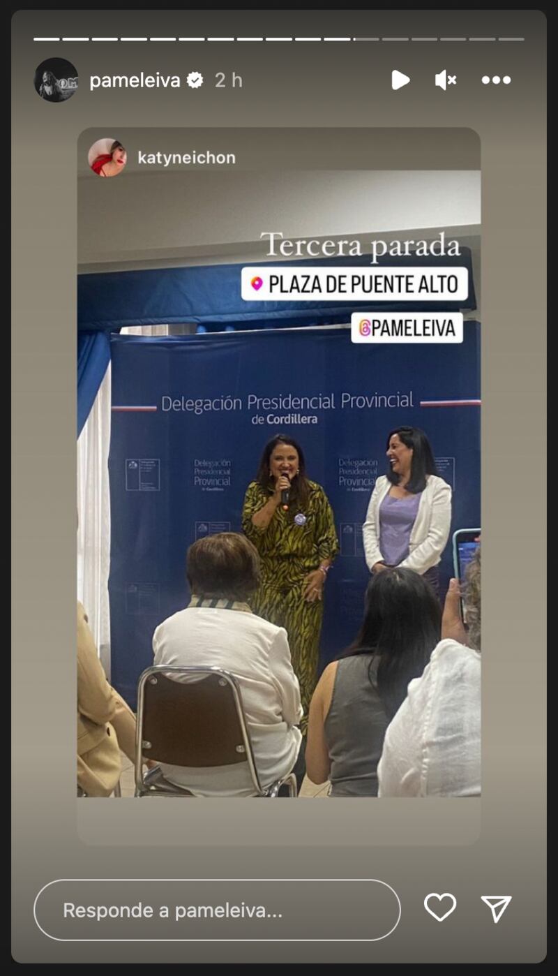 Historias de Pamela Leiva | Fuente: Instagram