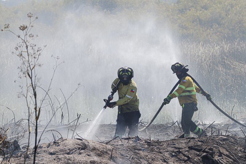 HUALPEN: Incendio forestal costado Supermercado Jumbo | 08 DE FEBRERO DE 2025/HUALPEN
Incendio forestal de rápida propagación, al costado de Supermercado Jumbo de Avenida Costanera, de la comuna de Hualpén
FOTO: RODRIGO FUICA/AGENCIA UNO