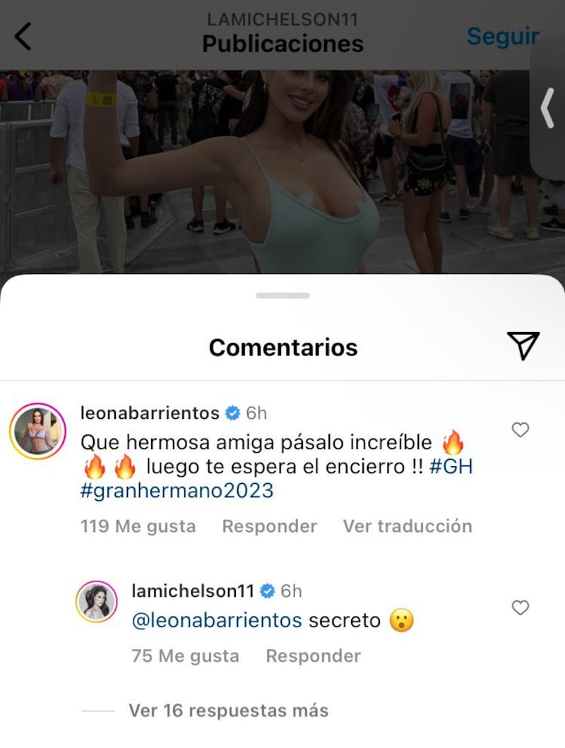 Comentario de Adriana Barrientos a Ignacia Michelson en Instagram | Fuente: Twitter