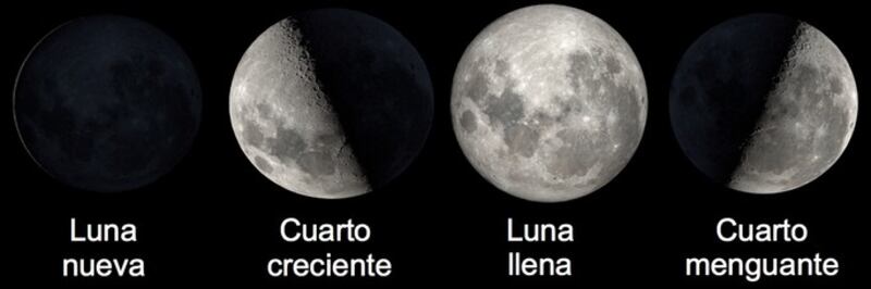 Fases de luna