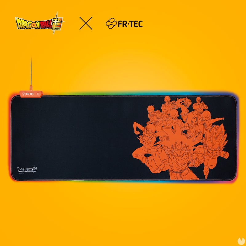 FR-TEC x Dragon Ball