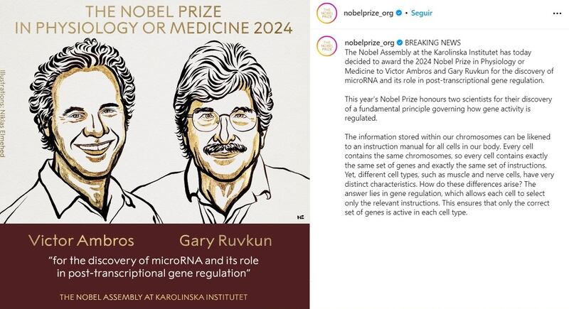 El Premio Nobel de Medicina 2024 fue para los académicos Ambros y Ruvkun.