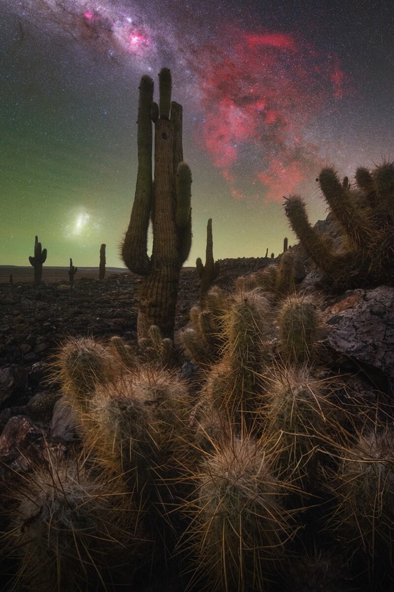 El Valle de los Cactus