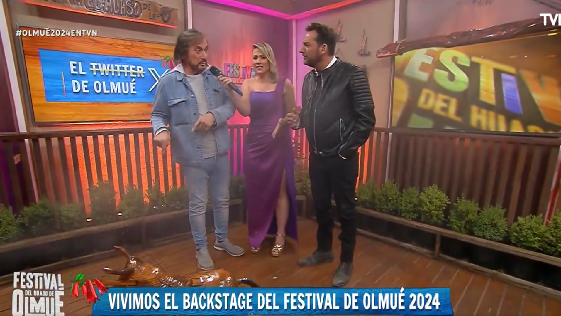 Carlos Pinto y Daniel Fuenzalida en el Festival del Huaso de Olmué | TVN