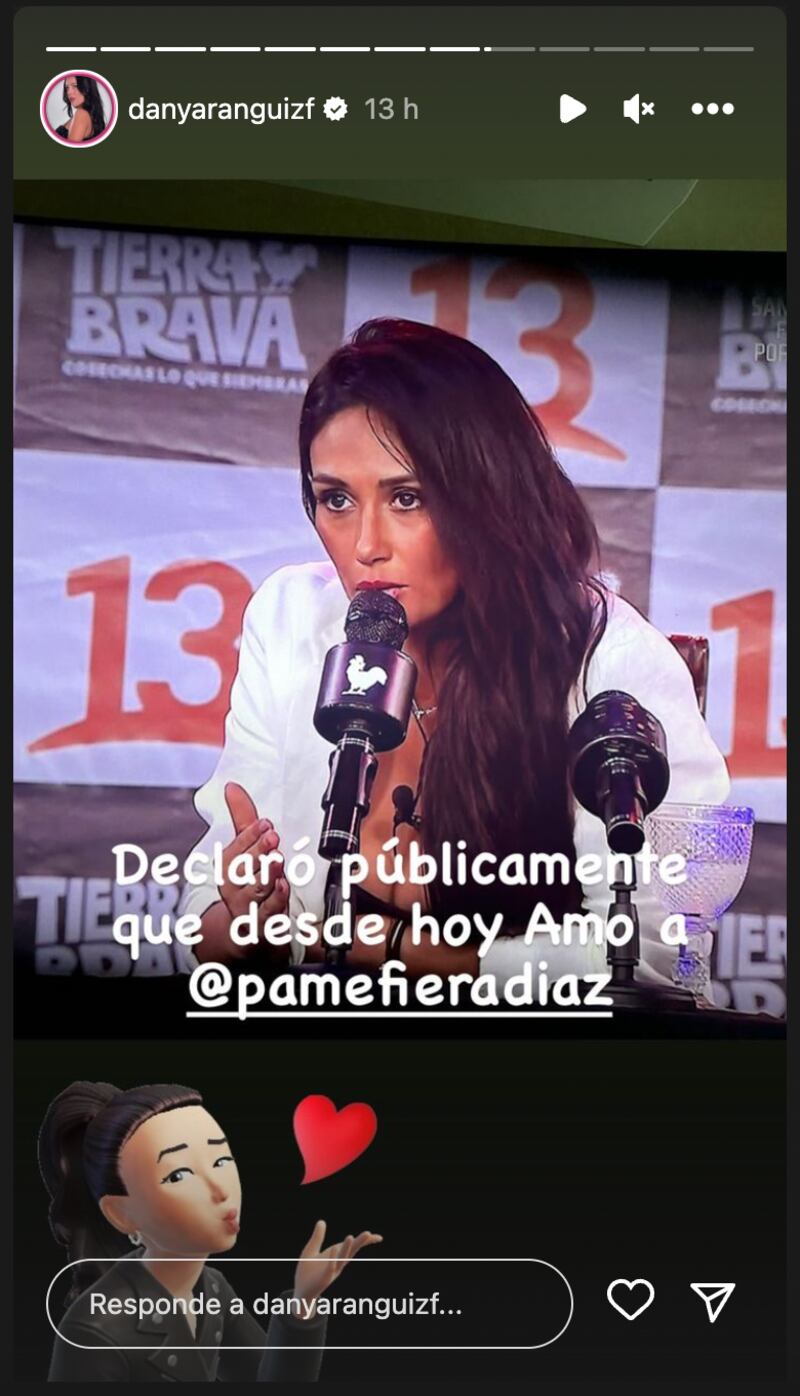 Historia de Daniela Aránguiz | Fuente: Instagram