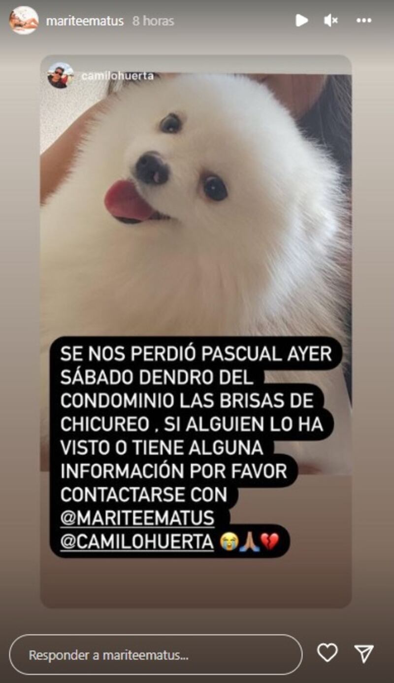 Marité Matus y su pareja, Camilo Huerta, usaron sus redes sociales para dar cuenta de la desaparición de la mascota de la exesposa de Arturo Vidal.