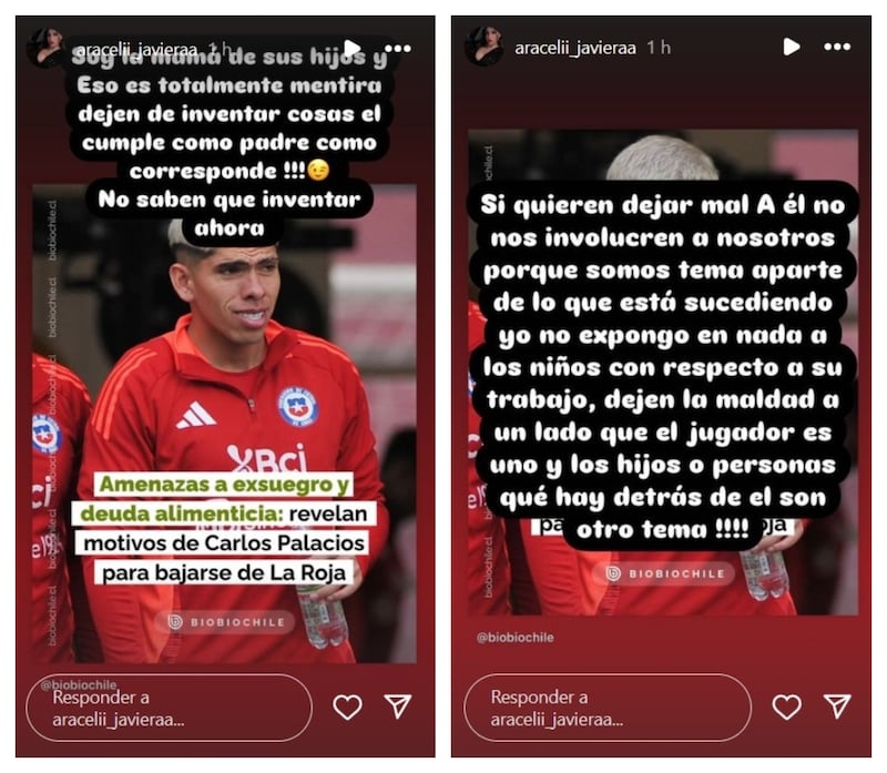 La ex del futbolista descartó que un episodio de violencia intrafamiliar haya sido el motivo de la marginación de Palacios de la selección chilena en la previa al partido frente a Colombia.