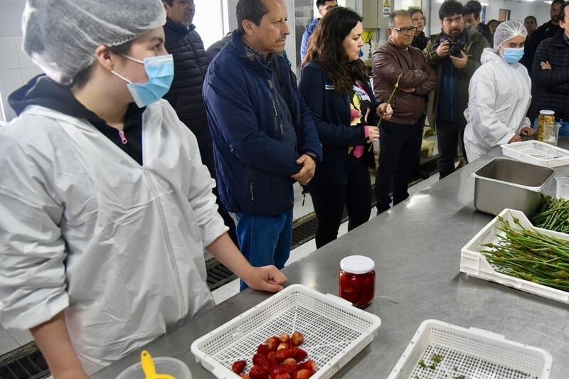 Esta semana el Mineduc anunció el inicio de las postulaciones a las becas Junaeb.