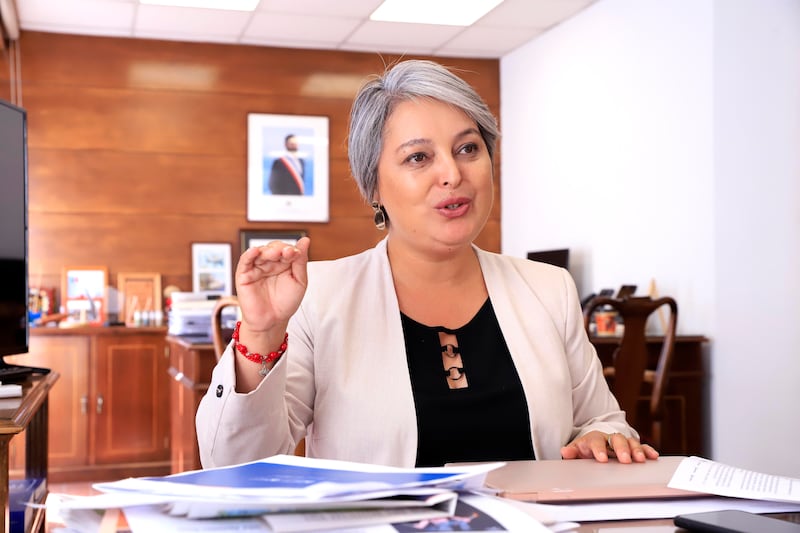 Ministra Jara