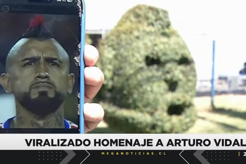 El arbusto dedicado al jugador de Colo Colo recibió innumerables comentarios en redes sociales.