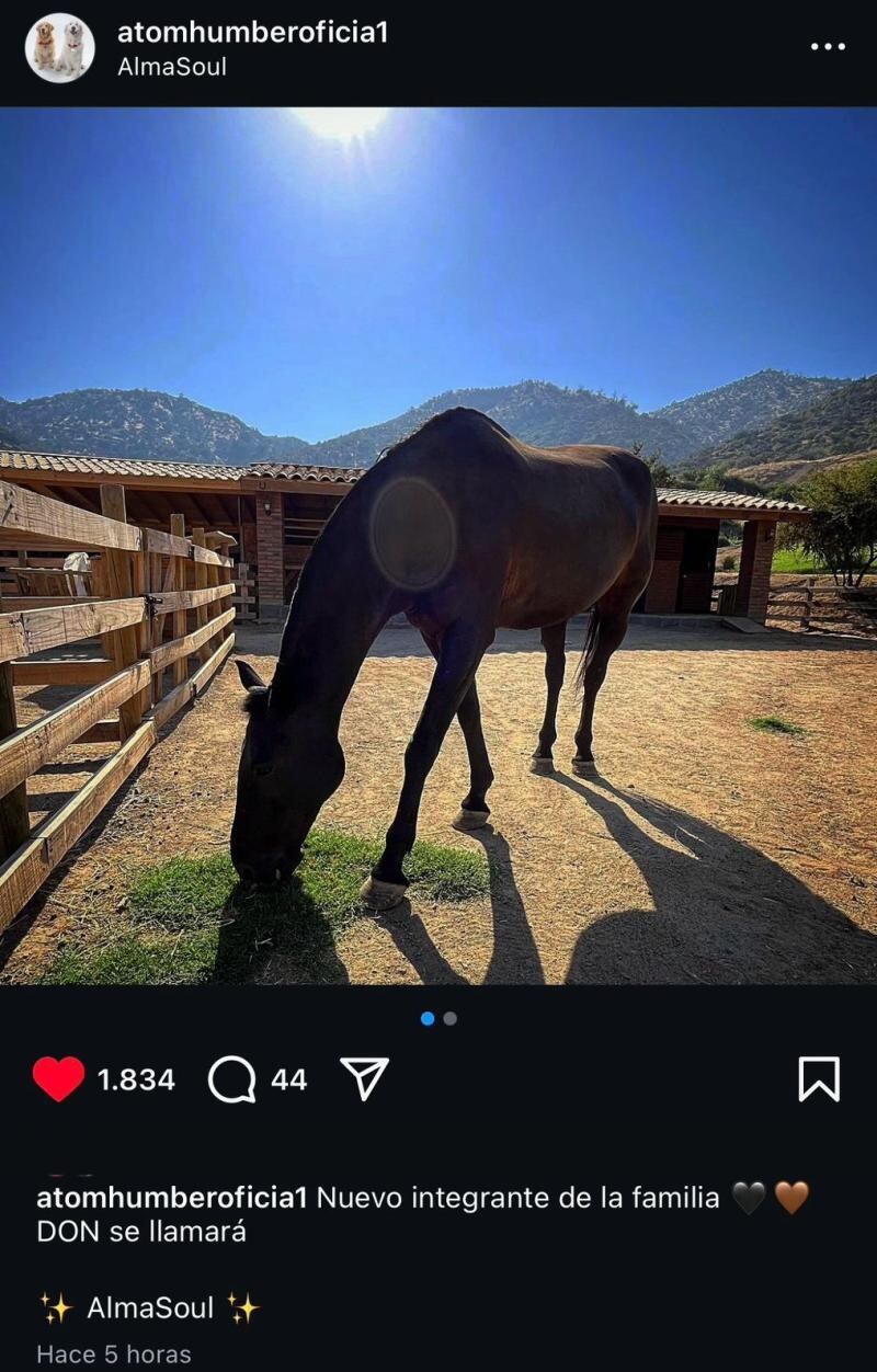 El delantero chileno presentó en las redes sociales de sus mascotas al nuevo integrante de su familia animalesca.