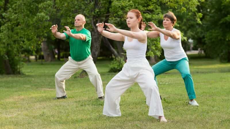 El Qi Gong es capaz de mejorar la circulación al aumentar la elasticidad de los vasos sanguíneos.