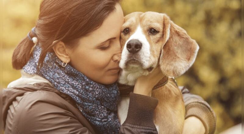 Las personas se llenan de energía con el apoyo de perros y gatos.